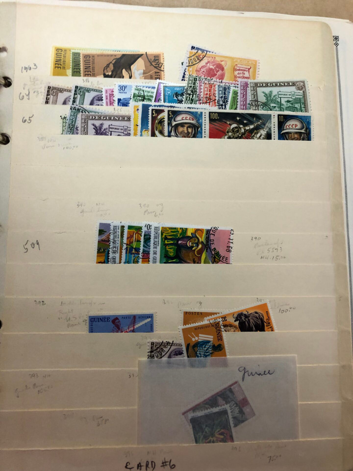 GUINEA AND GUYANA – 426227