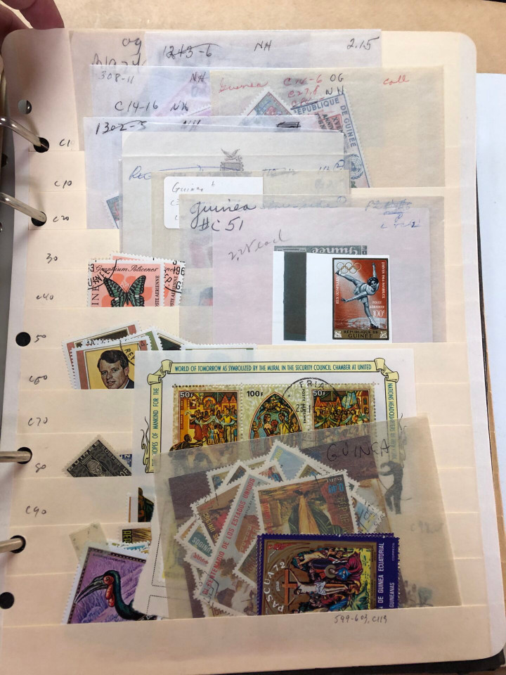 GUINEA AND GUYANA – 426227