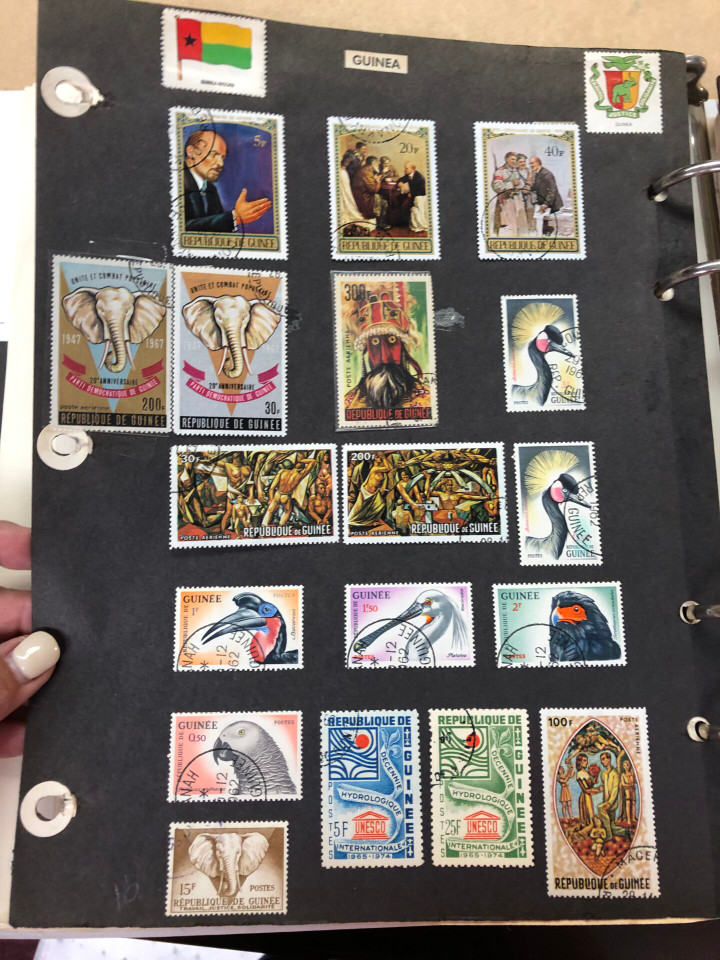 GUINEA AND GUYANA – 426227