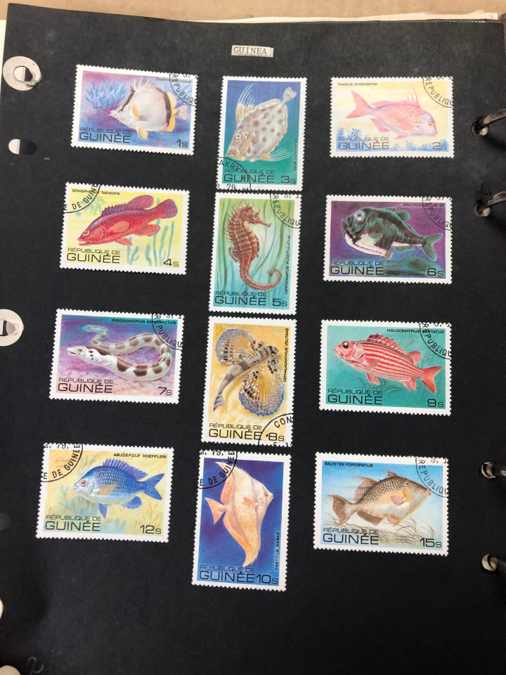 GUINEA AND GUYANA - Several Hundred Mint and Used, Miniature and Souvenir Sheets, Low Duplication, VF-NH – 426227