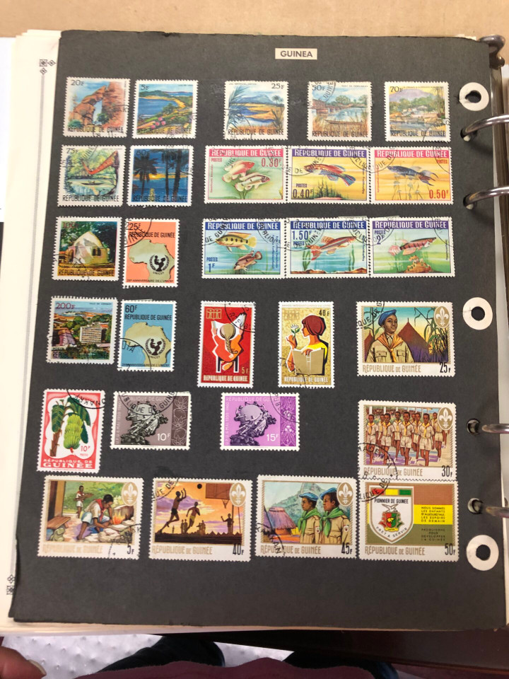 GUINEA AND GUYANA – 426227