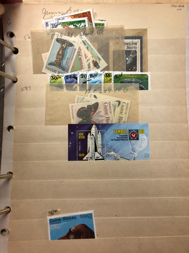 GUINEA AND GUYANA – 426227