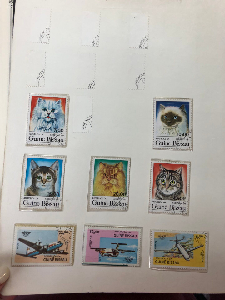 GUINEA AND GUYANA – 426227