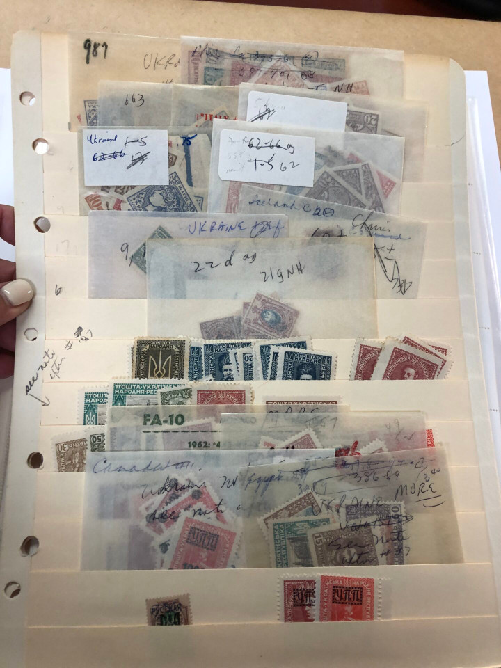 INTERNATIONAL SELECTION - 426244