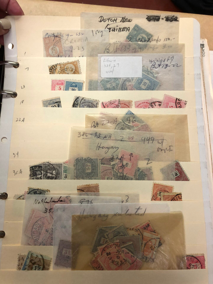 HUNGARY – WELL-ROUNDED & EXPANSIVE SELECTION – 426233