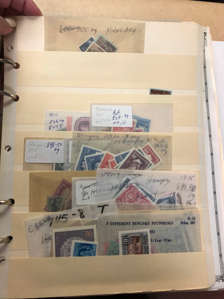 HUNGARY – WELL-ROUNDED & EXPANSIVE SELECTION – 426233