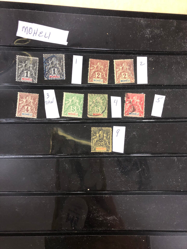INTERNATIONAL - Mongolia, Montenegro, Morocco, Mozambique and Mozambique Company, 2,000 Stamps, Scott CV $4,300, VF-NH – 426203