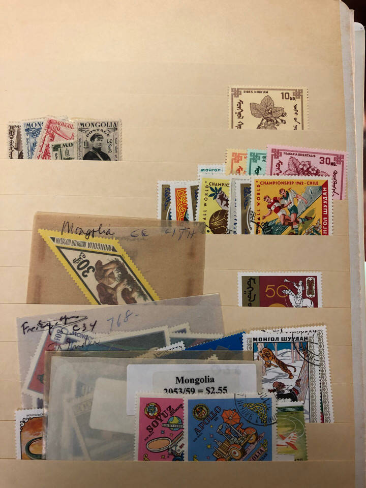 INTERNATIONAL SELECTION – M COUNTRIES – 426203