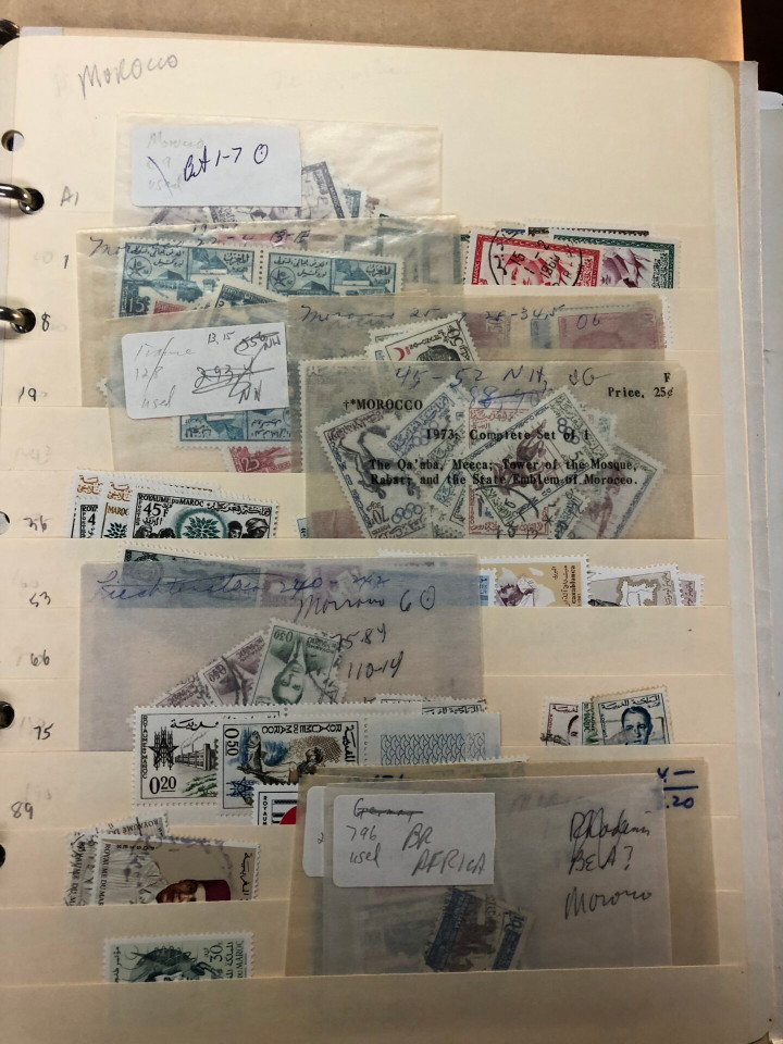 INTERNATIONAL SELECTION – M COUNTRIES – 426203