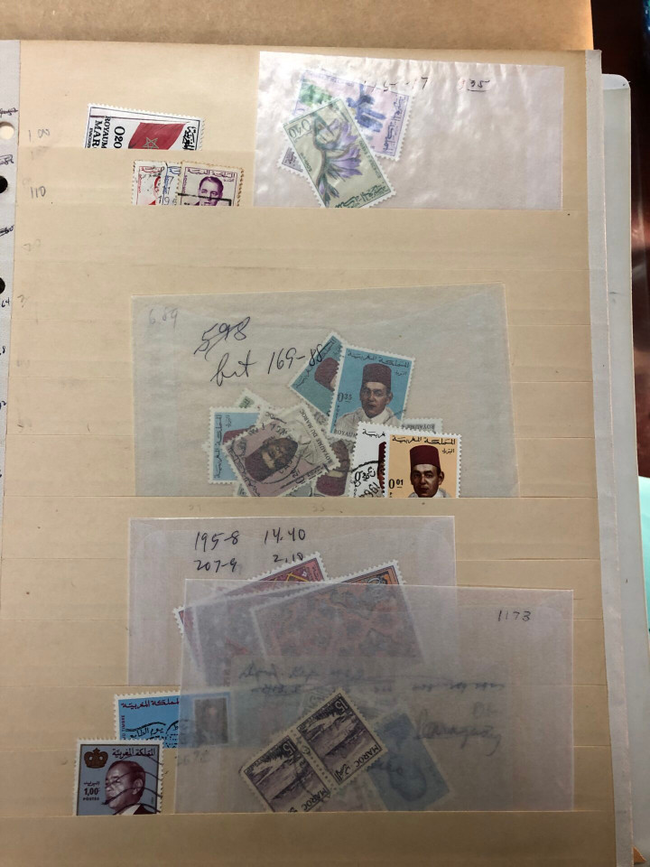 INTERNATIONAL SELECTION – M COUNTRIES – 426203