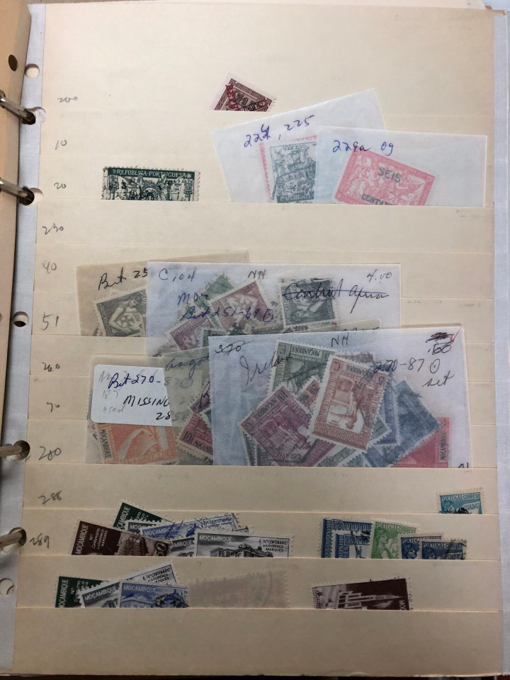 INTERNATIONAL SELECTION – M COUNTRIES – 426203