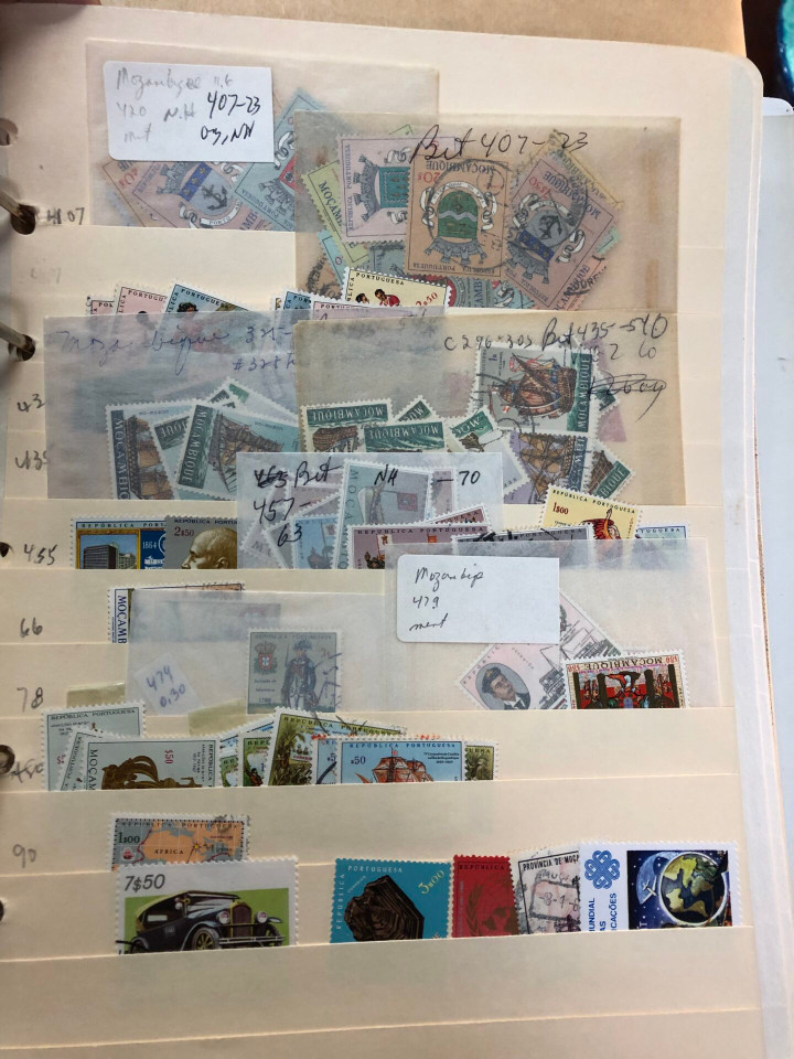 INTERNATIONAL SELECTION – M COUNTRIES – 426203