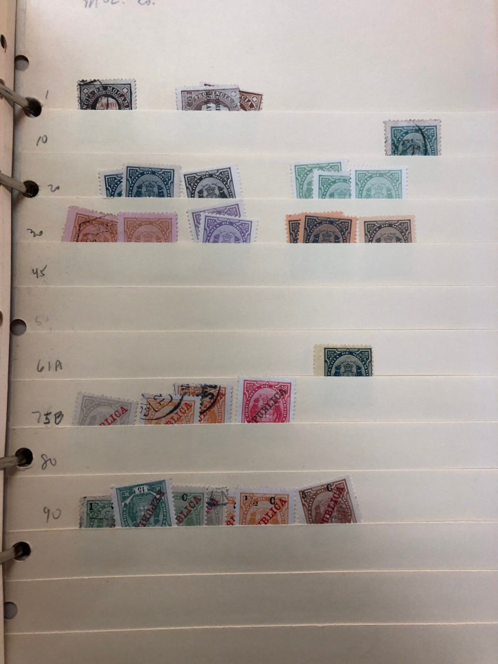 INTERNATIONAL SELECTION – M COUNTRIES – 426203