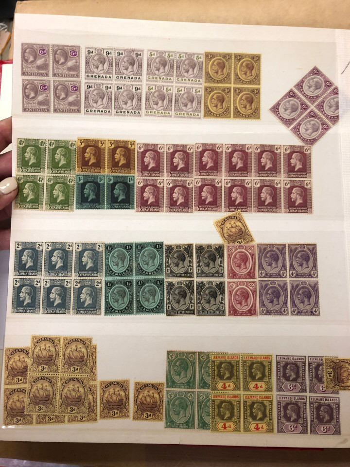 MINT EARLY 20th CENTURY SELECTION – USA & INTERNATIONAL – 426689