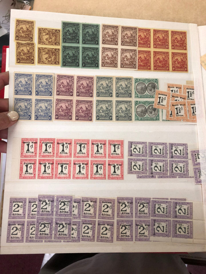 MINT EARLY 20th CENTURY SELECTION – USA & INTERNATIONAL – 426689