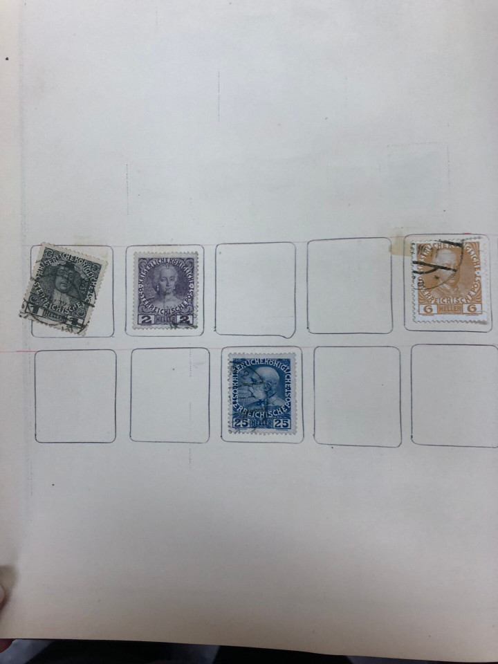 INTERNATIONAL COLLECTION – 426618