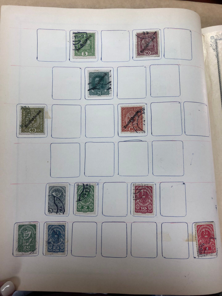 INTERNATIONAL COLLECTION – 426618