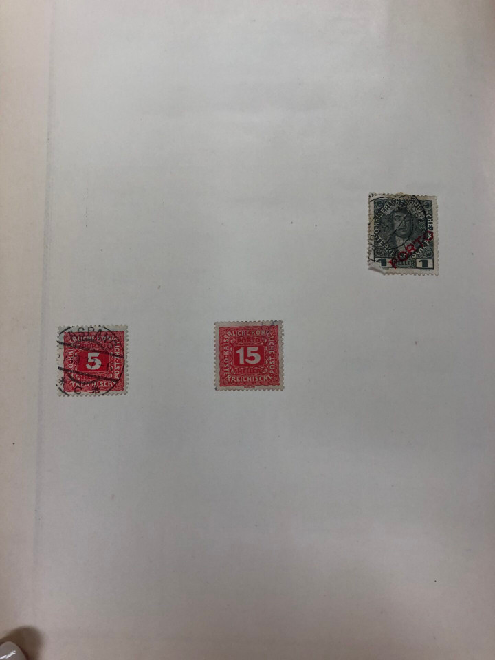 INTERNATIONAL COLLECTION – 426618