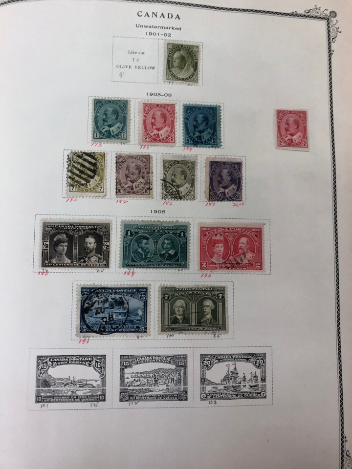 INTERNATIONAL COLLECTION – 426618