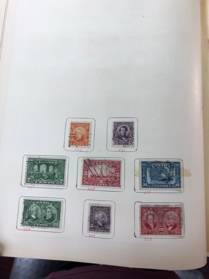 INTERNATIONAL COLLECTION – 426618