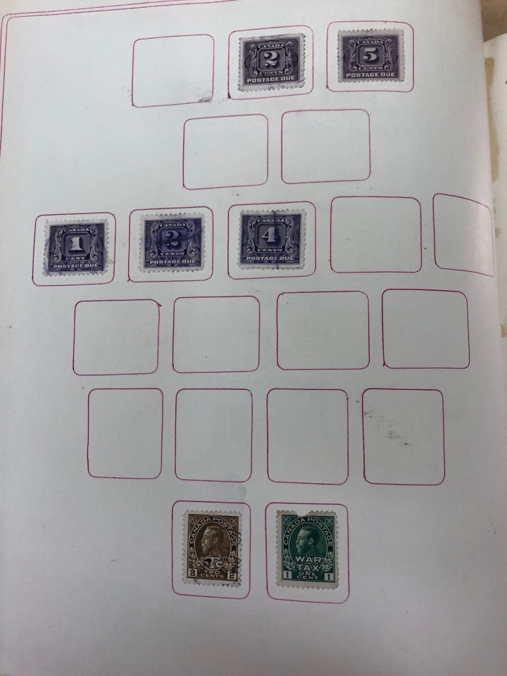 INTERNATIONAL COLLECTION – 426618