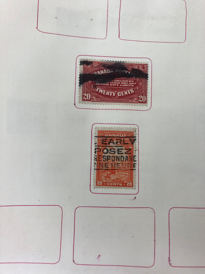 INTERNATIONAL COLLECTION – 426618