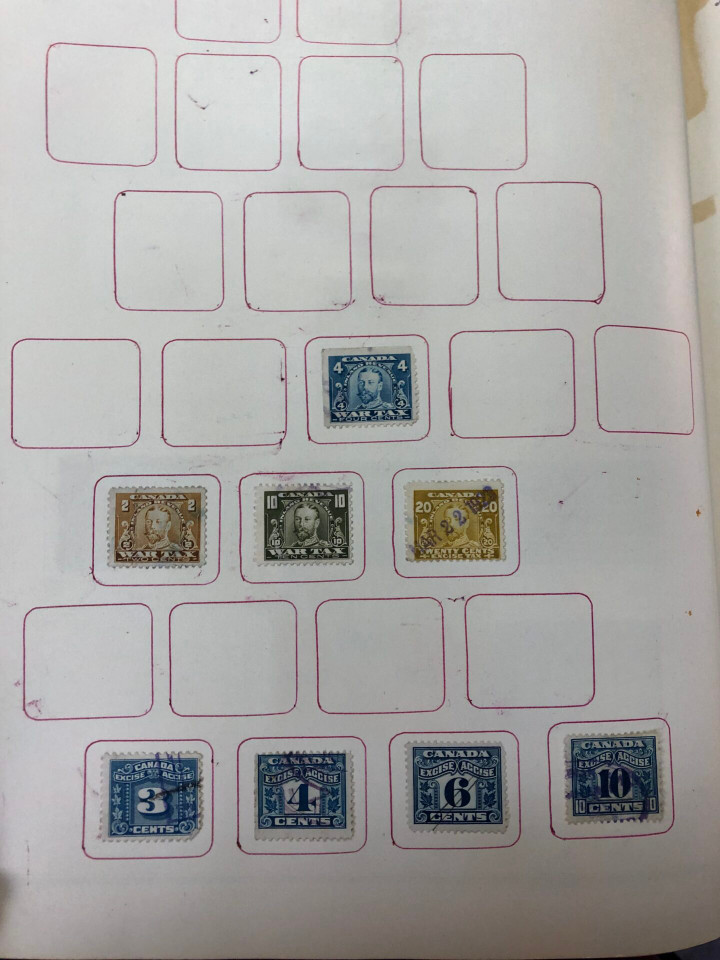 INTERNATIONAL COLLECTION – 426618