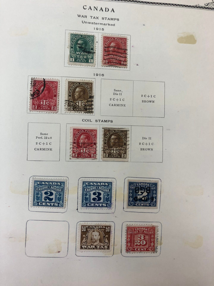 INTERNATIONAL COLLECTION – 426618