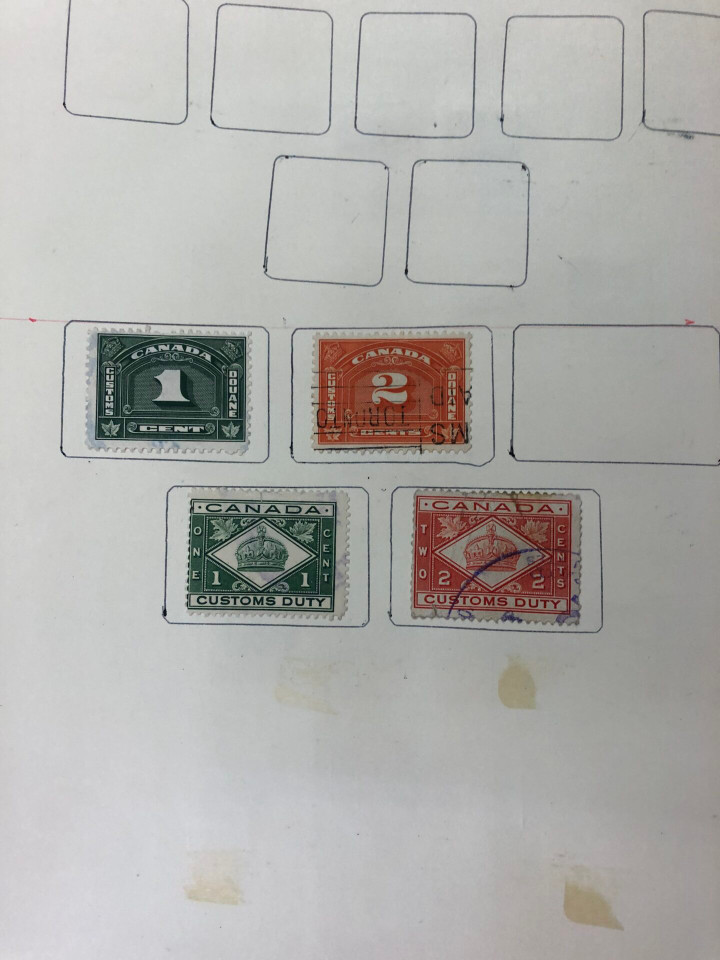 INTERNATIONAL COLLECTION – 426618