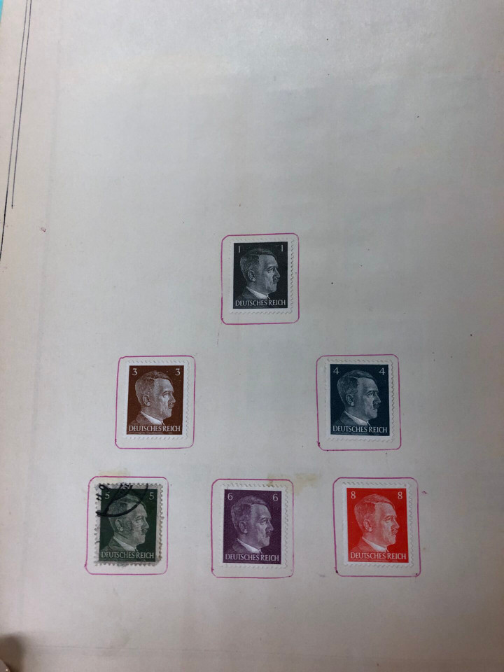 INTERNATIONAL COLLECTION – 426618