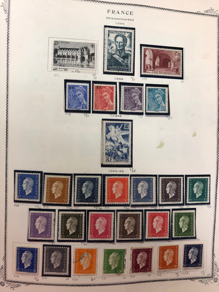 FRANCE – LOVELY COLLECTION IN BROWN SCOTT ALBUM – 426621