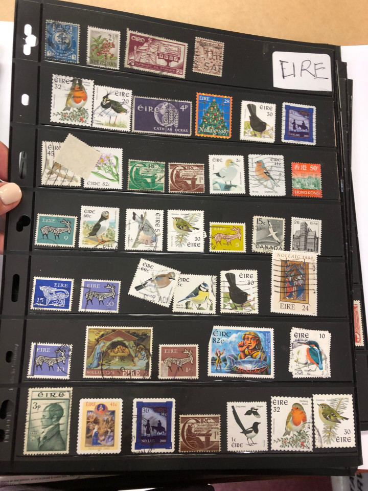 AN AMUSING INTERNATIONAL SELECTION – 425417