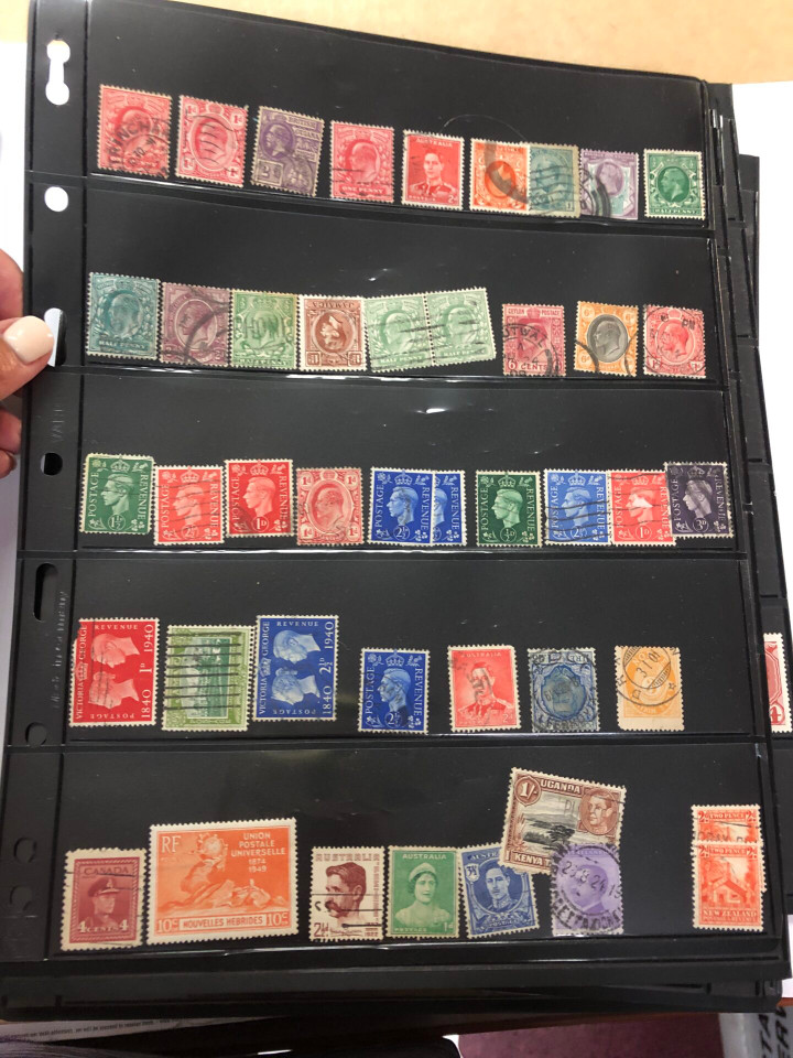 AN AMUSING INTERNATIONAL SELECTION – 425417