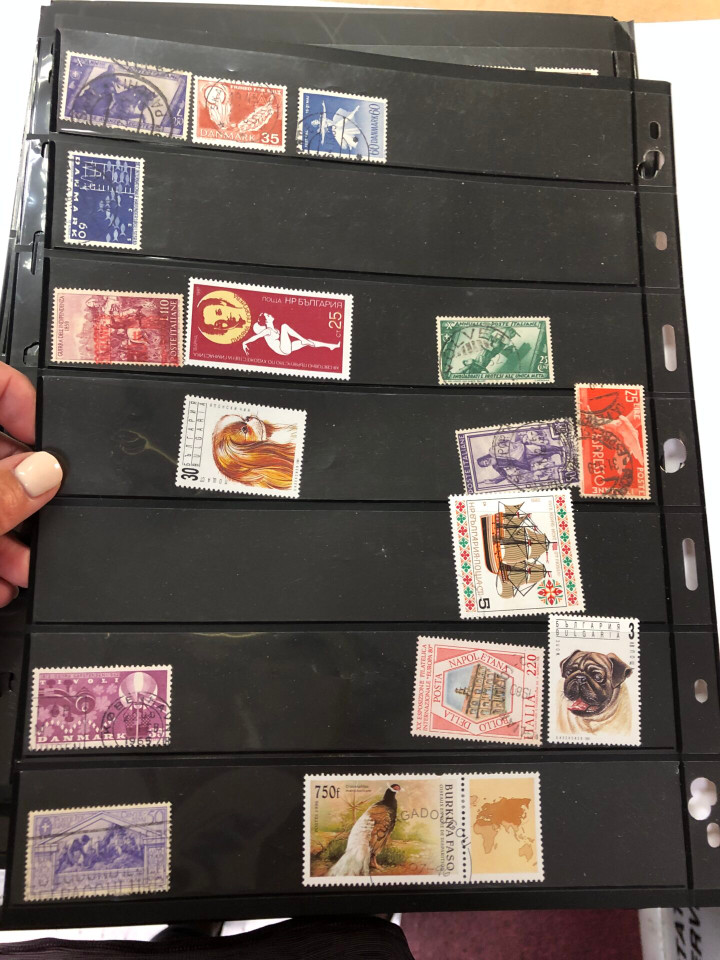 AN AMUSING INTERNATIONAL SELECTION – 425417