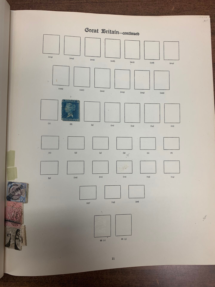 INTERNATIONAL SELECTION – 426486