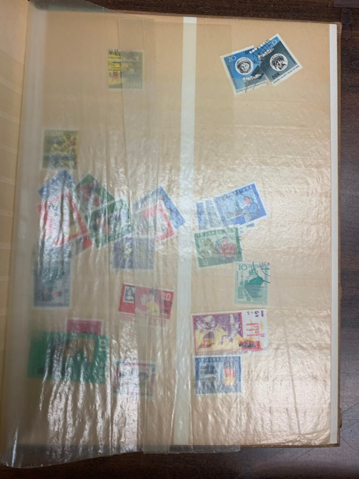 INTERNATIONAL SELECTION – 426486