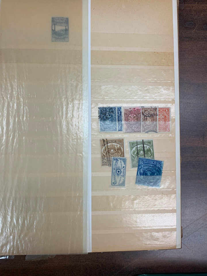 INTERNATIONAL SELECTION – 426486