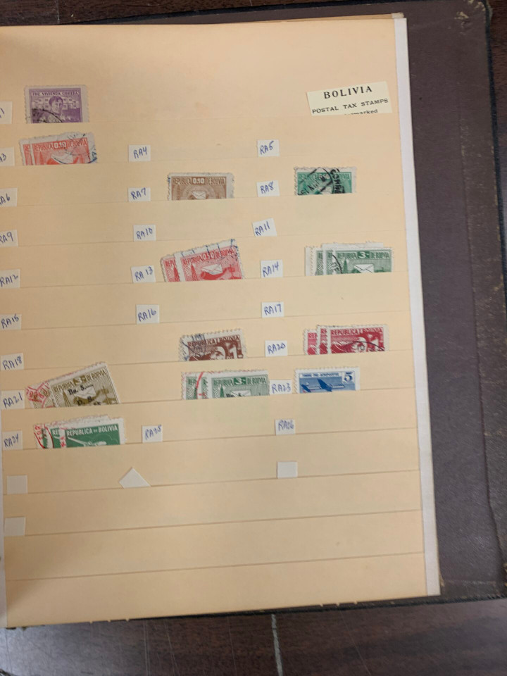 INTERNATIONAL SELECTION – 426486