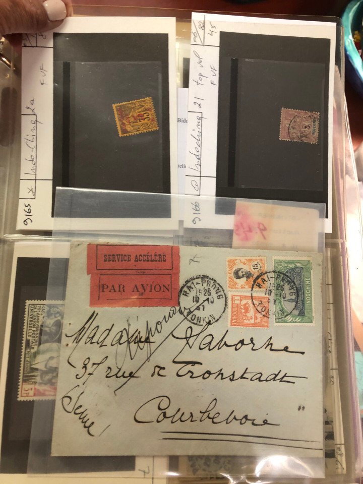 INDOCHINA – HIGH-GRADE SPECIALIST COLLECTION – 426494