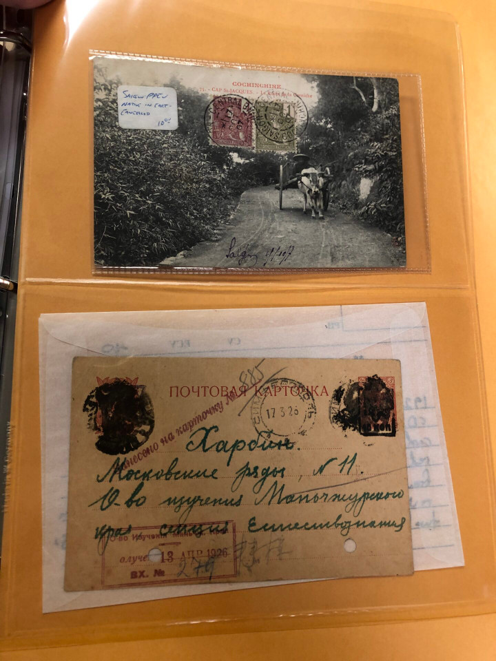 INDOCHINA – HIGH-GRADE SPECIALIST COLLECTION – 426494