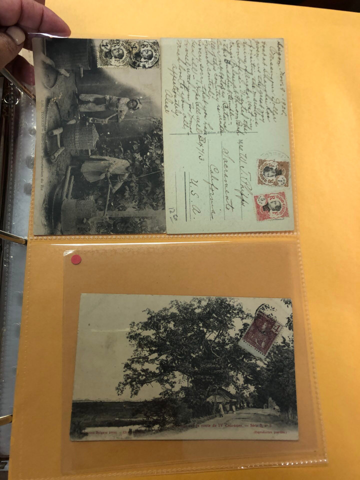 INDOCHINA – HIGH-GRADE SPECIALIST COLLECTION – 426494