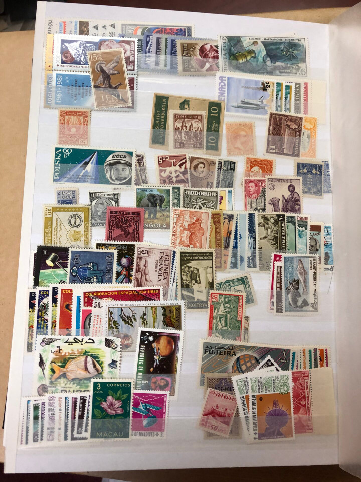 MINT INTERNATIONAL SELECTION – 426566