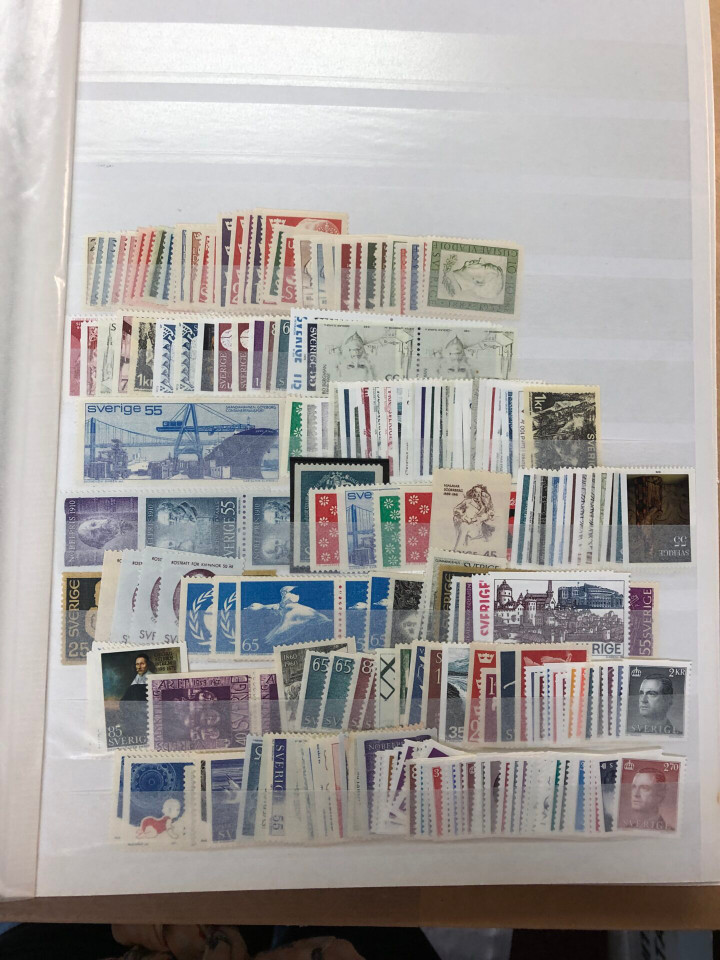 MINT INTERNATIONAL SELECTION – 426565