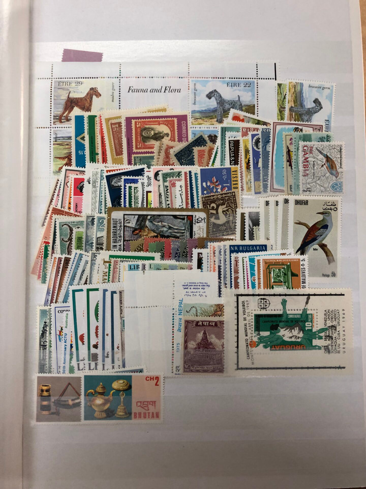 MINT INTERNATIONAL SELECTION – 426565