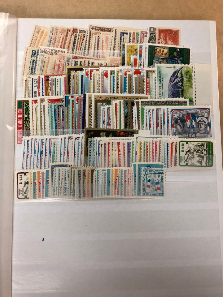 MINT INTERNATIONAL SELECTION – 426565