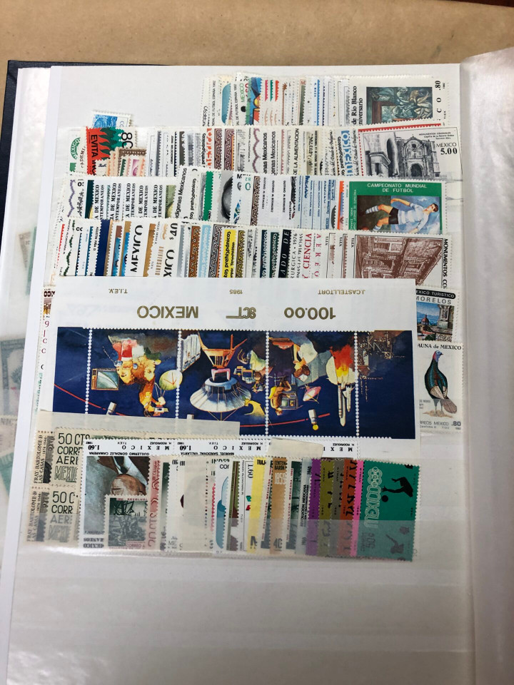 MINT INTERNATIONAL SELECTION – 426505