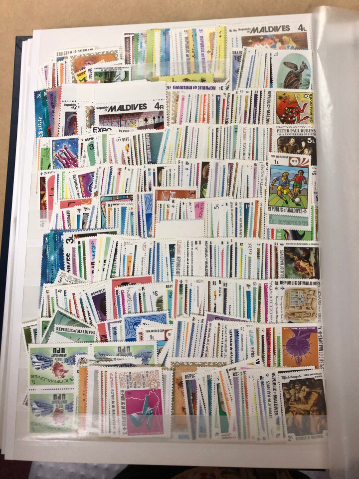 MINT INTERNATIONAL SELECTION – 426505