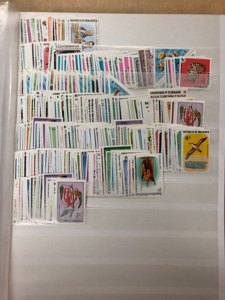 MINT INTERNATIONAL SELECTION – 426505