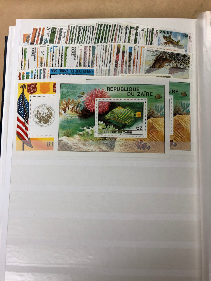 MINT INTERNATIONAL SELECTION – 426505