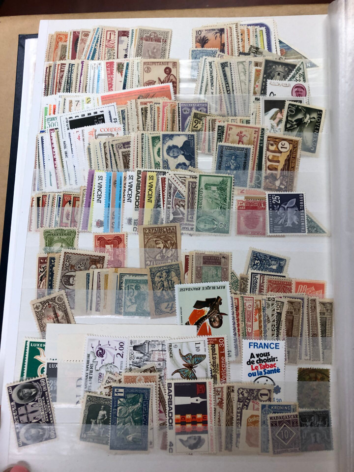 INTERNATIONAL MINT SELECTION – 426506